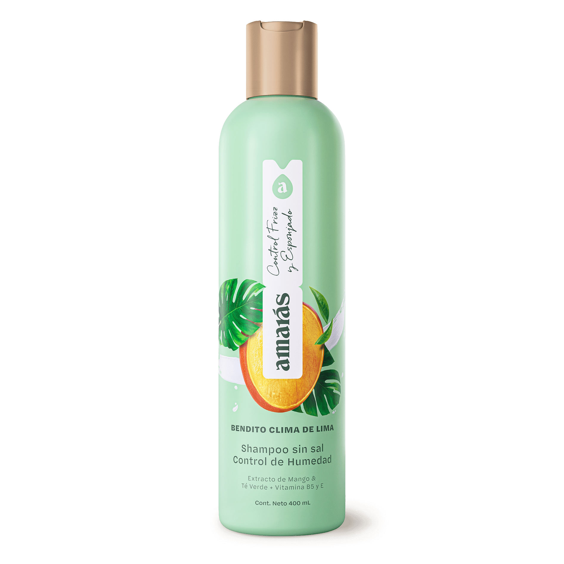 SHAMPOO SIN SAL ♡ CONTROL DE HUMEDAD